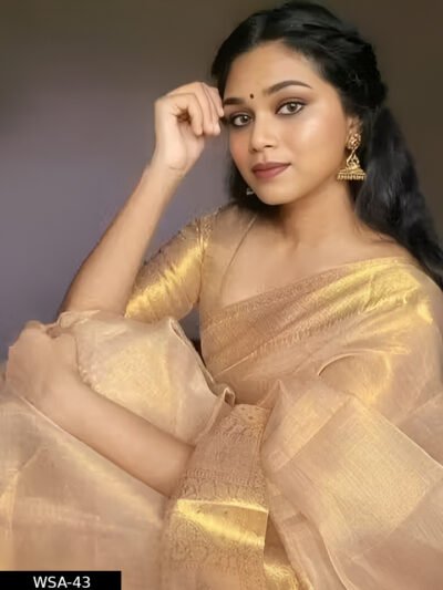 Banarasi gold Tishu Silk Saree